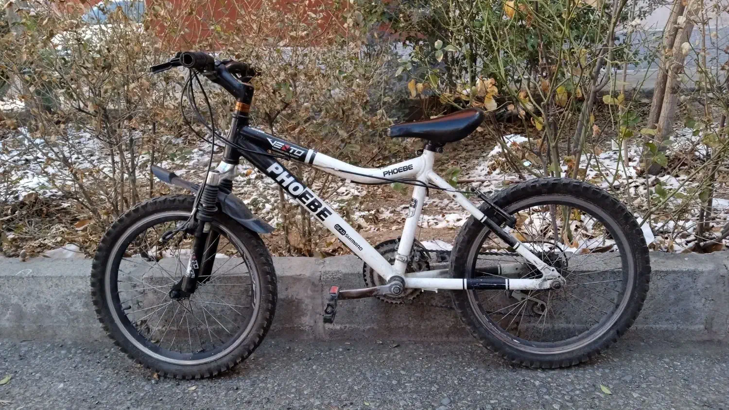 دوچرخه ۱۶و۲۰|دوچرخه، اسکیت، اسکوتر|هشتگرد, شهرک ایران خودرو|دیوار