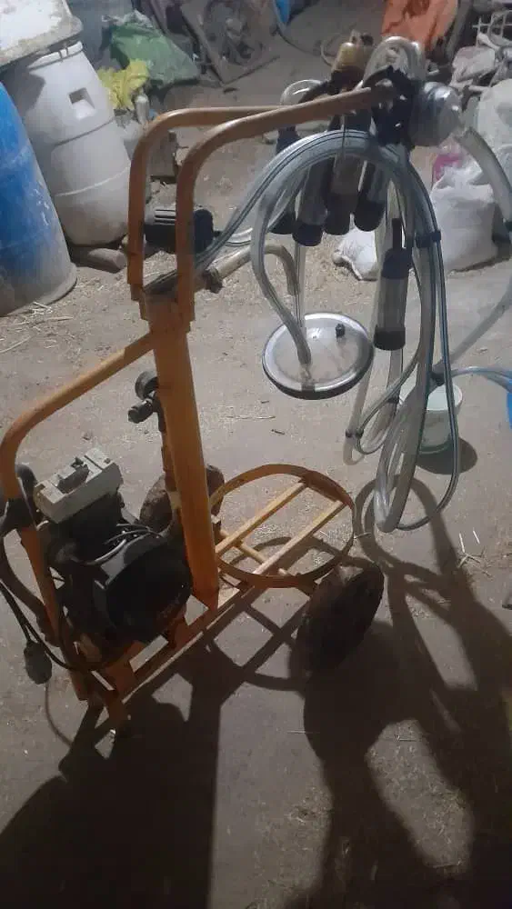 شیردوش|لوازم جانبی حیوانات|ملایر, |دیوار