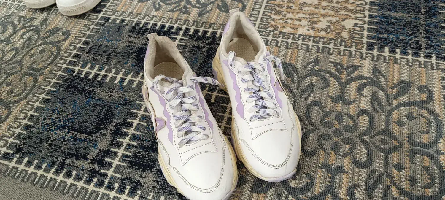 کفش|کیف، کفش، کمربند|شاهرود, |دیوار