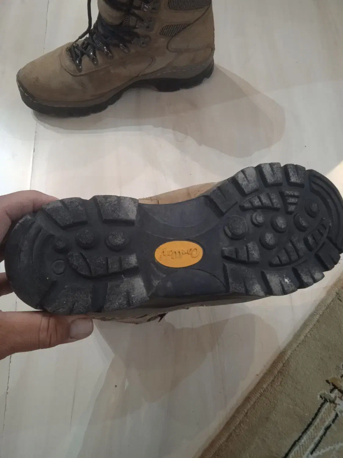 کفش کوه نوردی|کوهنوردی و کمپینگ|تهران, قیام|دیوار