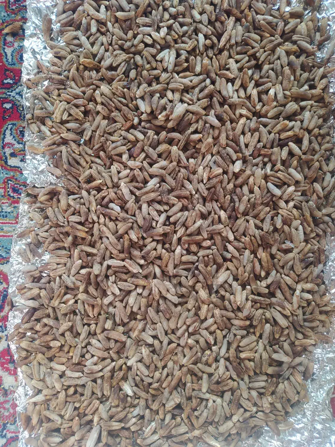 هسته خرما جهت قهوه خرما و هسته هلو جهت کاچی|فعالیت داوطلبانه|کرمان, |دیوار