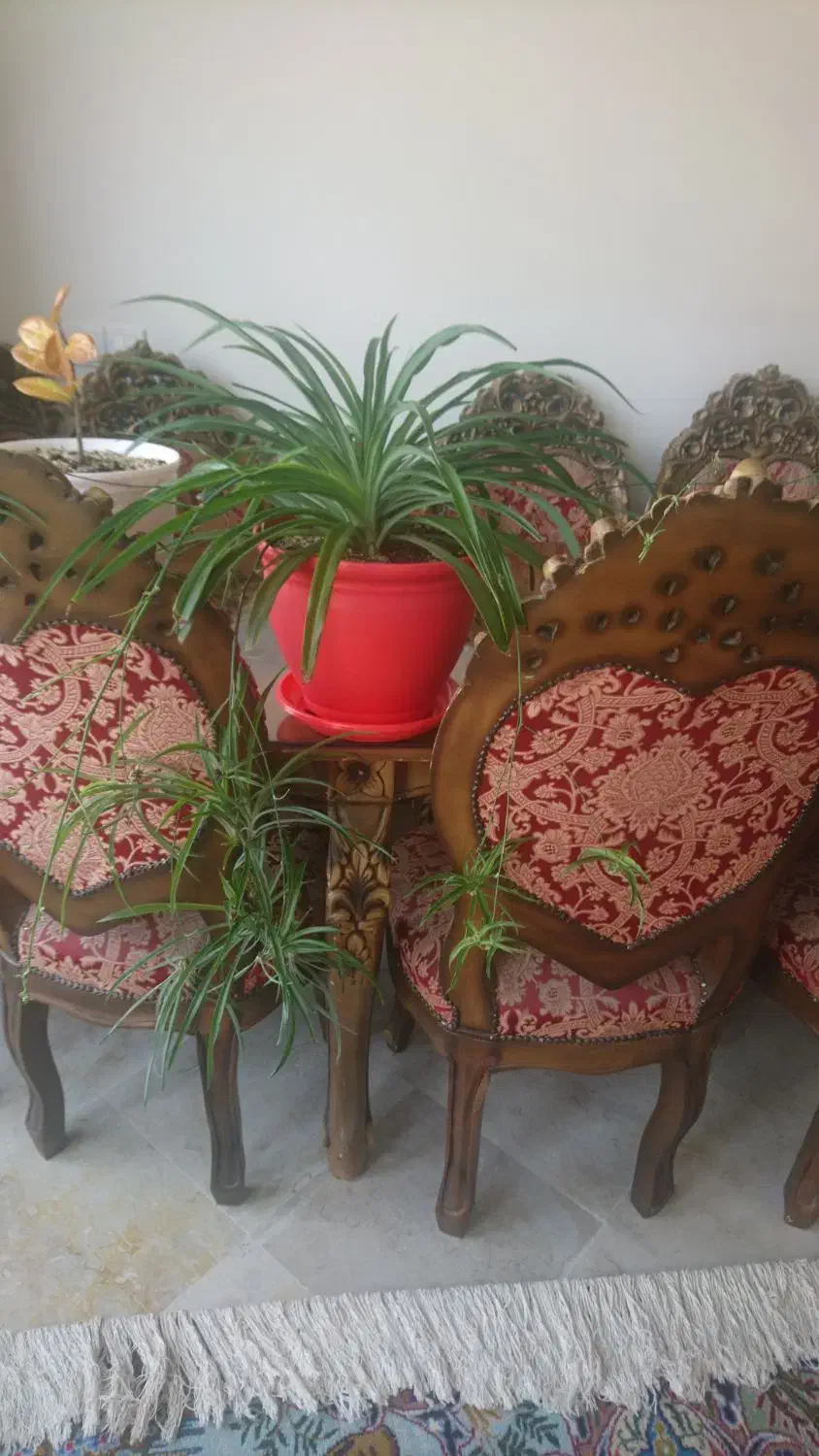 مبل استیل دوازده نفره|مبلمان خانگی و میز عسلی|کتالم و سادات شهر, |دیوار