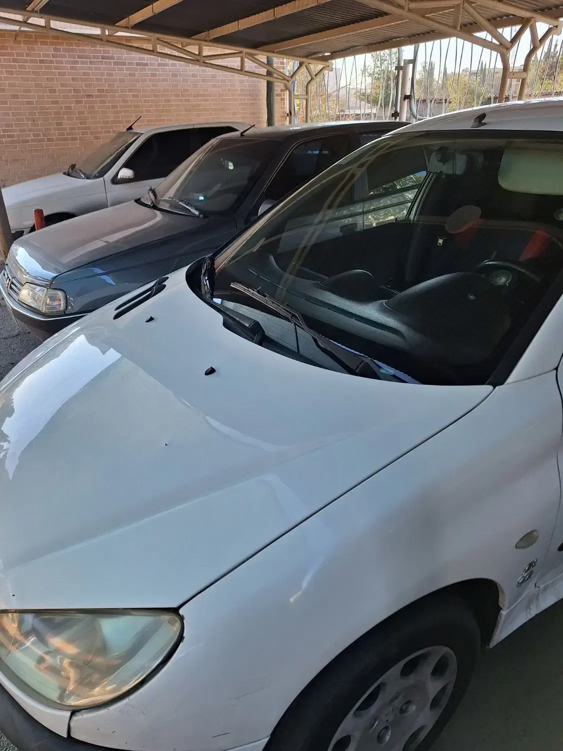 فروش پژو206 تیپ 2|خودرو سواری و وانت|شیراز, گلدشت معالیآباد|دیوار