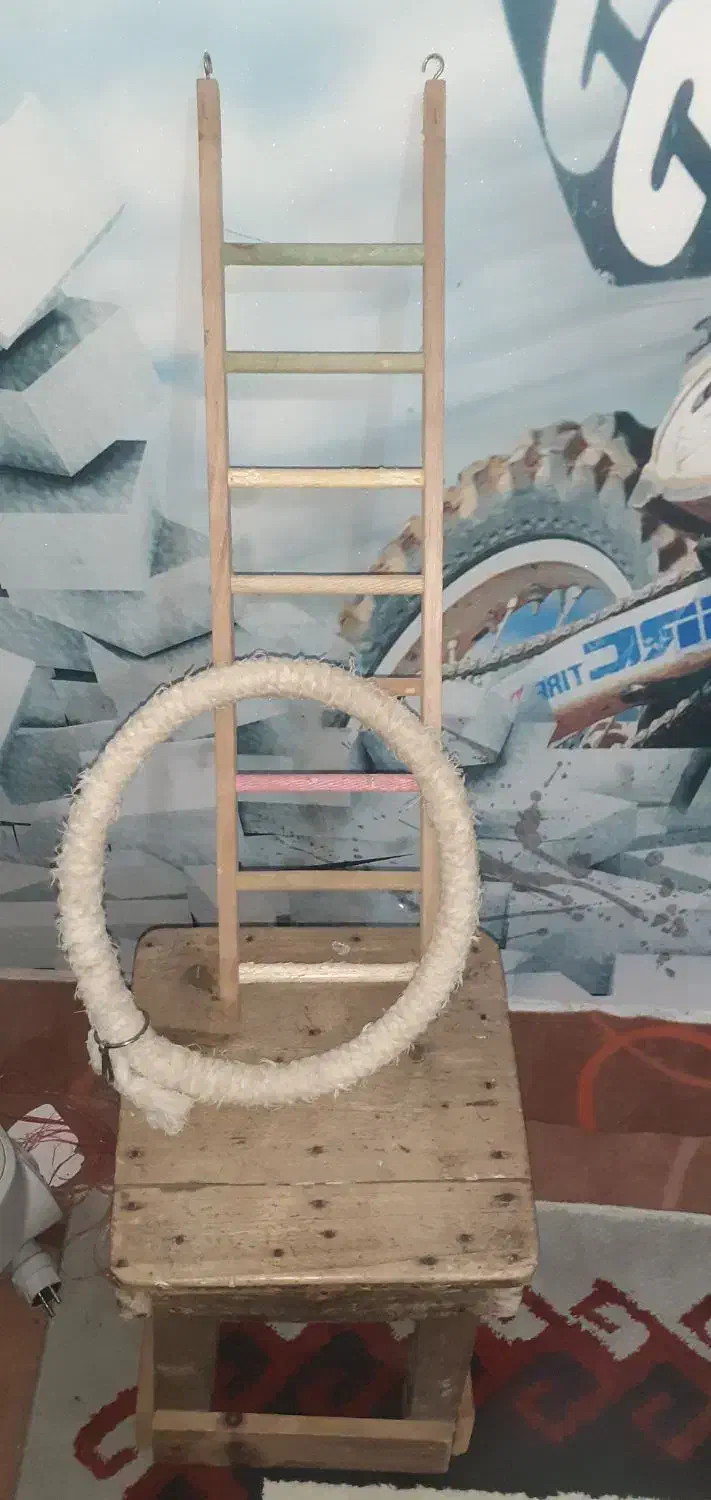 پایه قفس پرنده|لوازم جانبی حیوانات|چاف و چمخاله, |دیوار