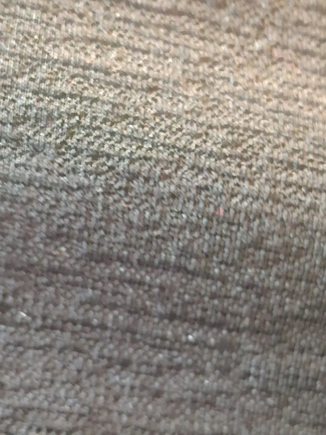 ماشین|خودرو سواری و وانت|شهرضا, |دیوار