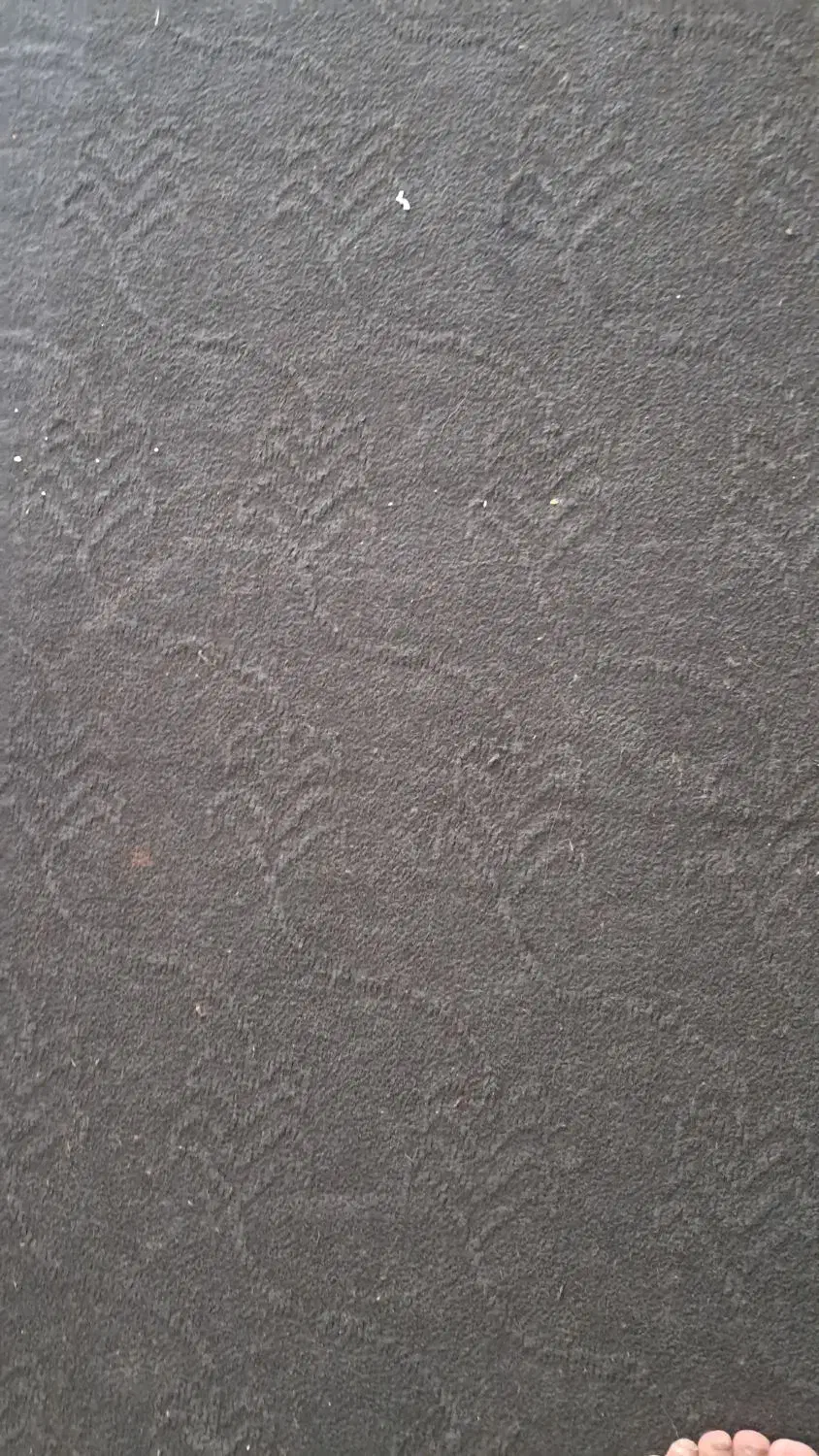 موکت پارس وپرده|موکت|نورآباد, |دیوار