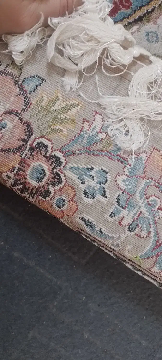 مدل شهیادفیلی رنگ درحد|فرش|قم, نوبهار|دیوار