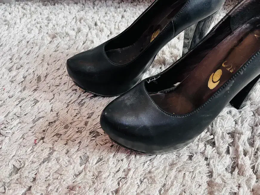 کفش مجلسی|کیف، کفش، کمربند|قم, انسجام|دیوار