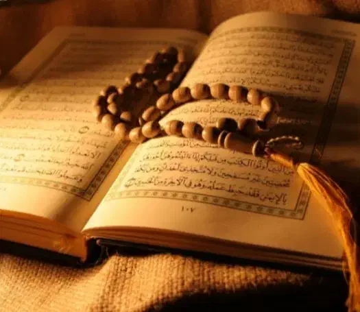 سرکتاب، طالع|کتاب و مجله مذهبی|مشهد, احمدآباد|دیوار