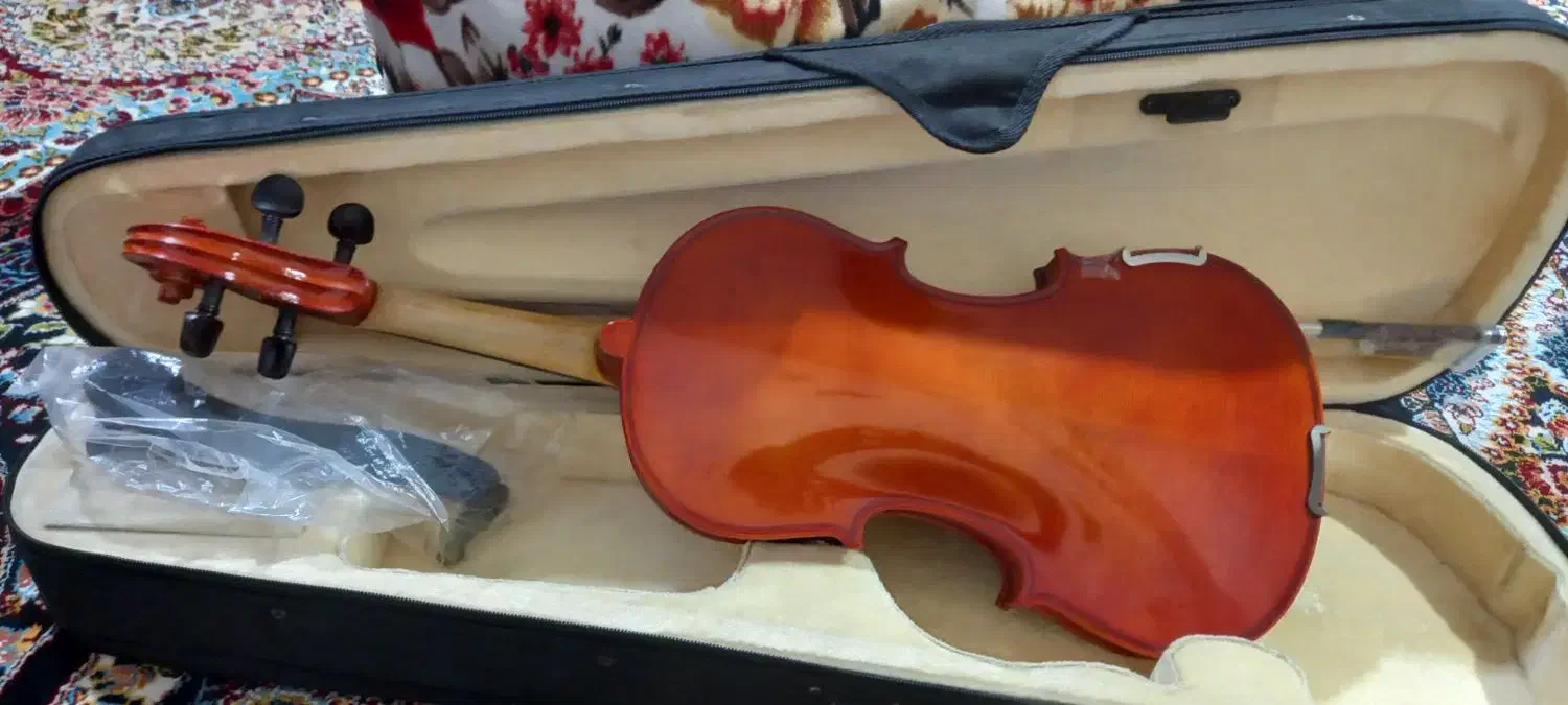 ویلون دست ساز اقای نوروزی|ویولن|کوه چنار, |دیوار