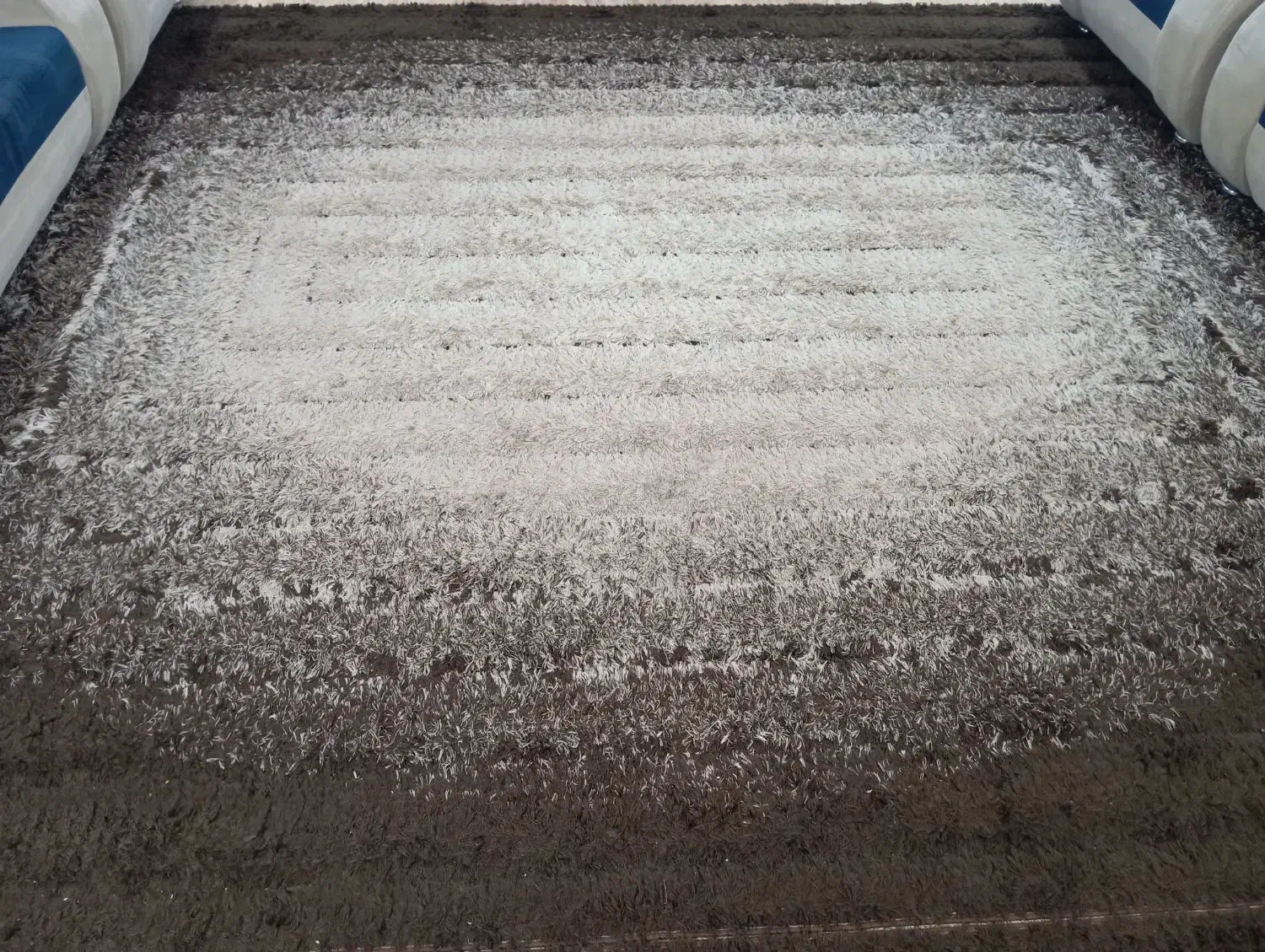 فرش دوازده متری|فرش|بندر گناوه, |دیوار