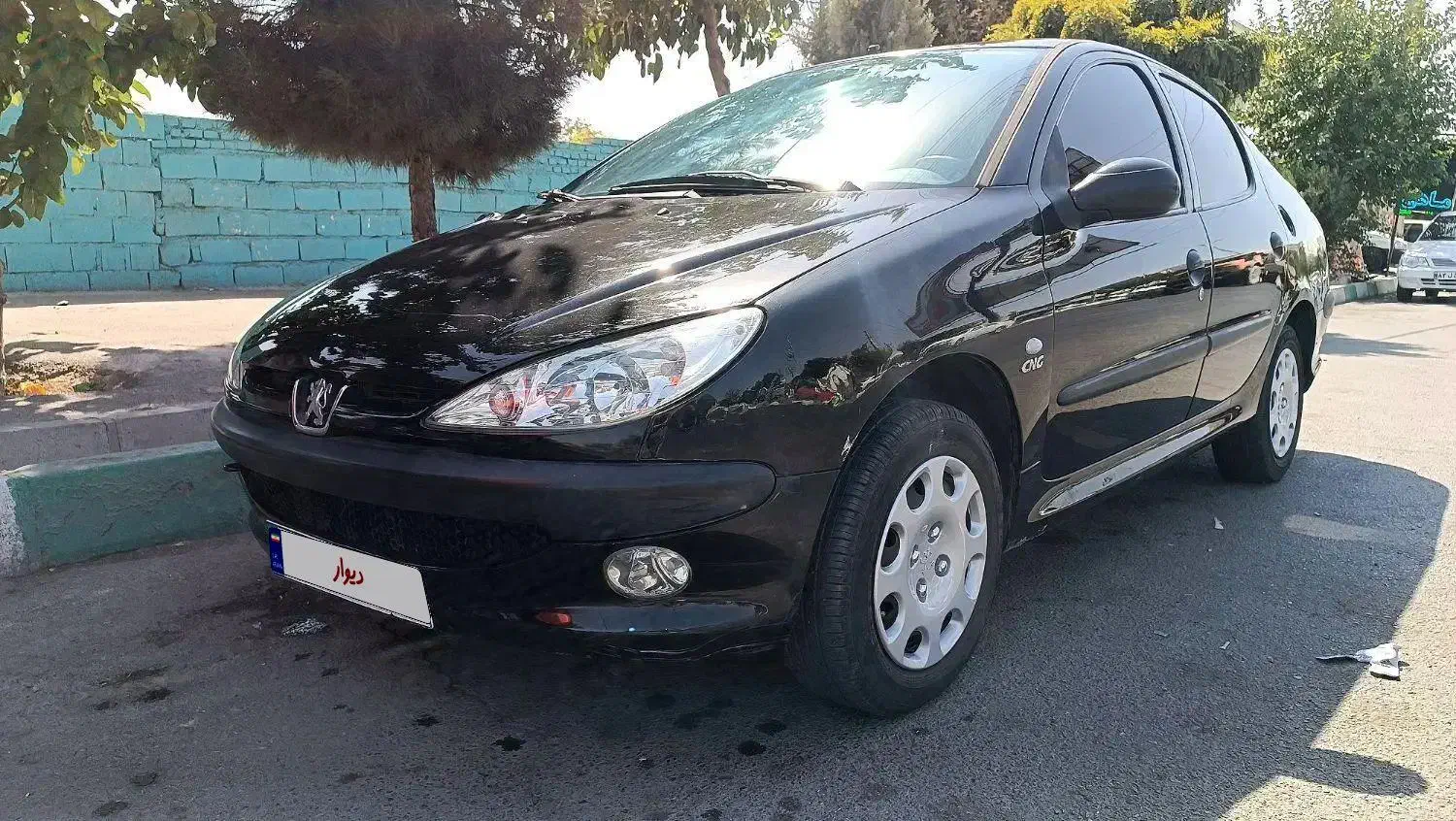 206 sd دوگانه آریان|خودرو سواری و وانت|محمدشهر, همایون ویلا|دیوار