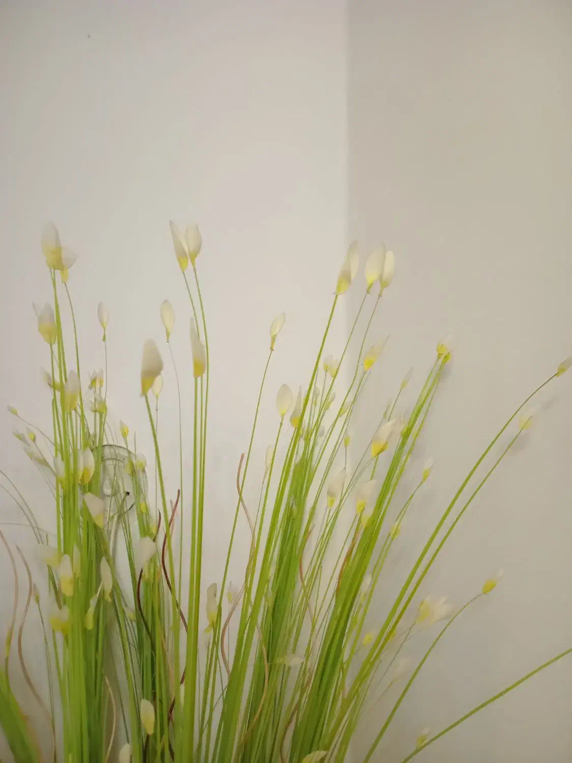 گل و گلدان فروشی|گل مصنوعی|کرج, شهرک رازی (حصارک)|دیوار