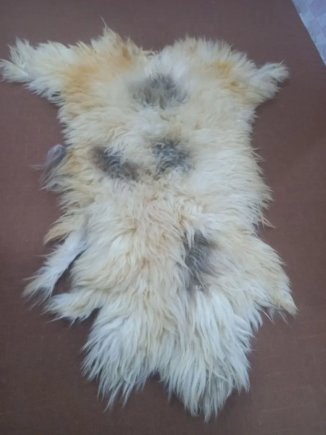 پوست بره ،|حیوانات مزرعه|مهر, |دیوار