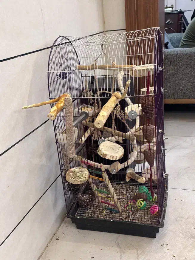 قفس بزرگ پرنده|لوازم جانبی حیوانات|خوی, |دیوار