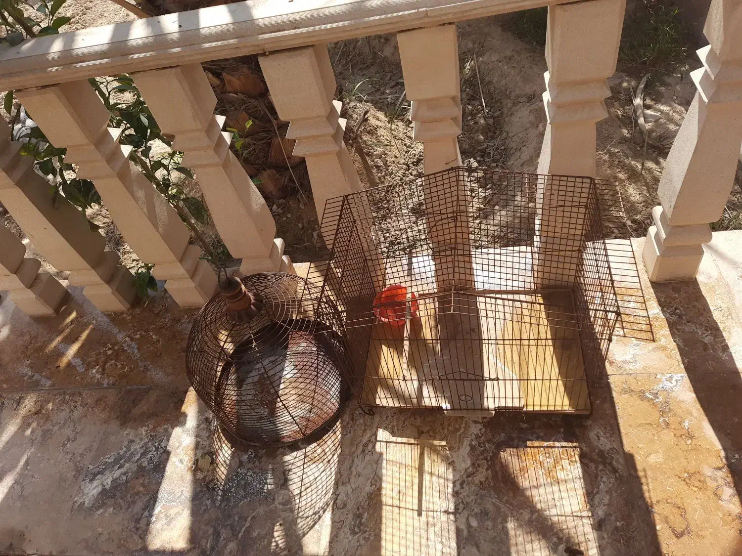 قفس پرنده|لوازم جانبی حیوانات|برازجان, |دیوار