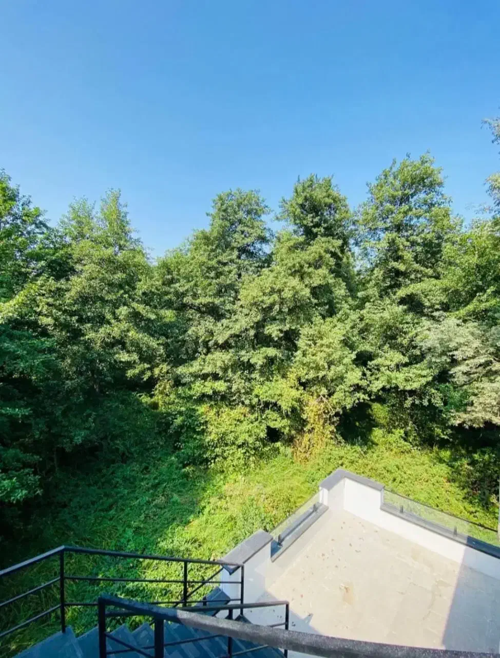 اجاره ویلا نوساز استخردار جنگلی پلاک اول جنگل|اجارهٔ کوتاه‌مدت ویلا و باغ|نور, |دیوار