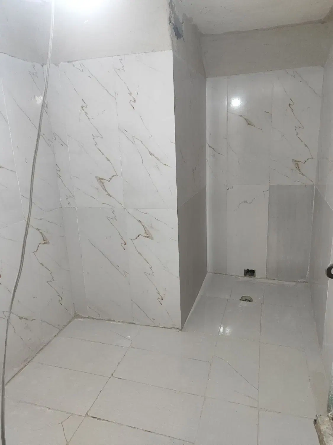 گوشت گوسفندی. گوسفندزنده. قصابی درمحل|حیوانات مزرعه|کرمان, |دیوار