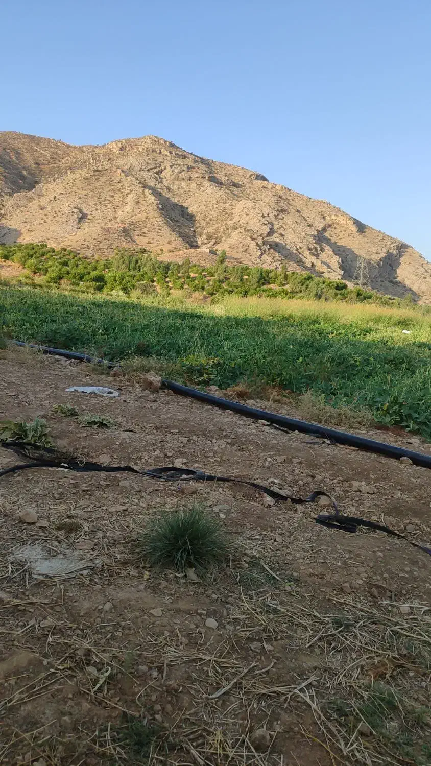 زمین کشاورزی اب شخصی|فروش زمین و ملک کلنگی|بوستان, |دیوار