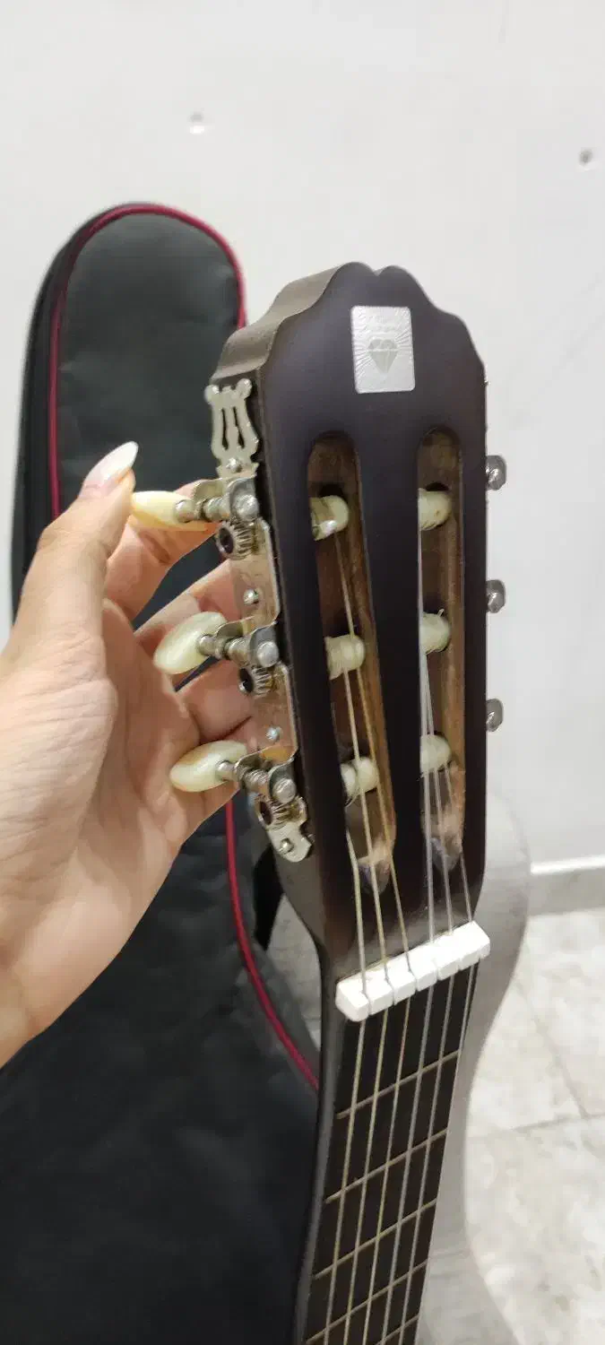 گیتار بدون استفاده نو|گیتار، بیس، امپلیفایر|شوش, |دیوار