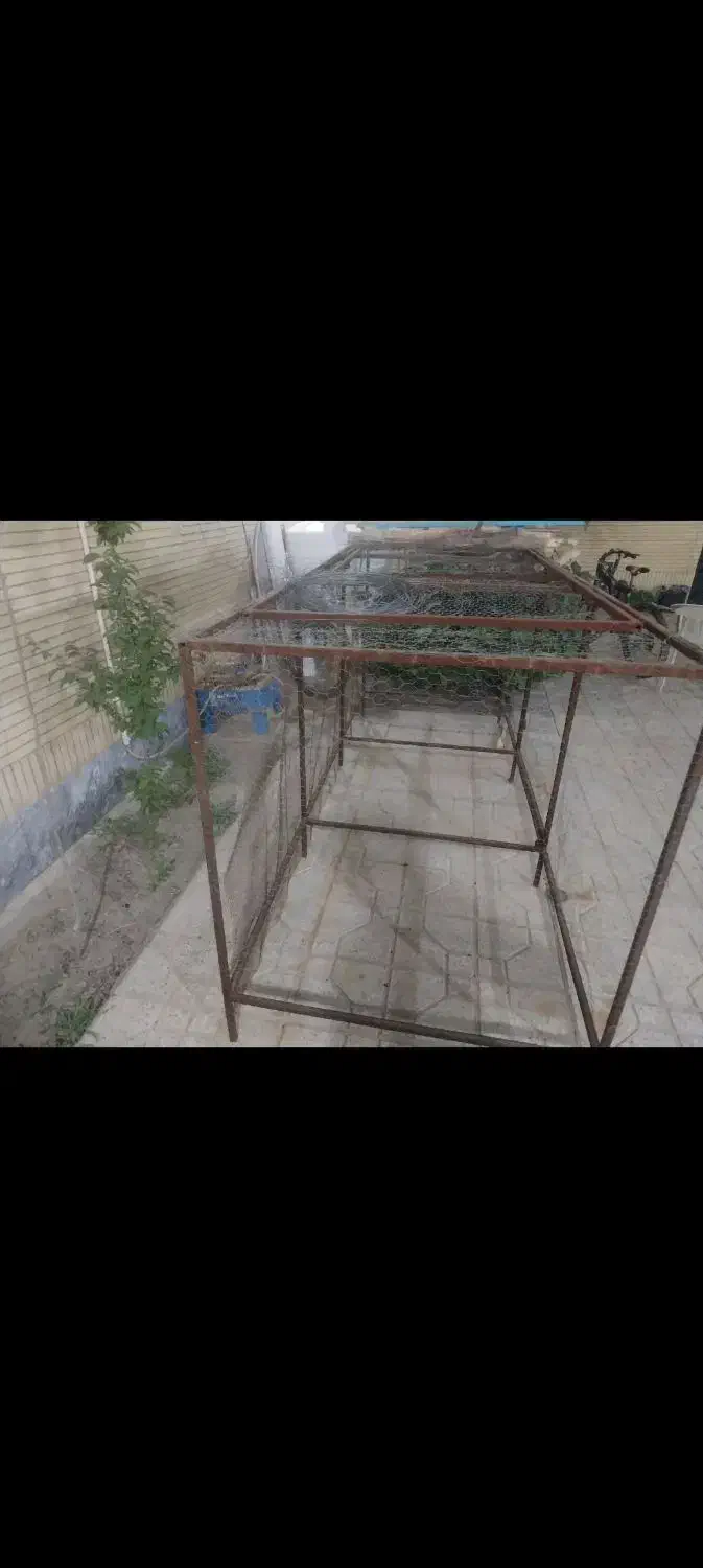 قفس بزرگ برای انواع حیوانات سگ،کبوتو،مرغ،|لوازم جانبی حیوانات|شاهینشهر, نبوت|دیوار