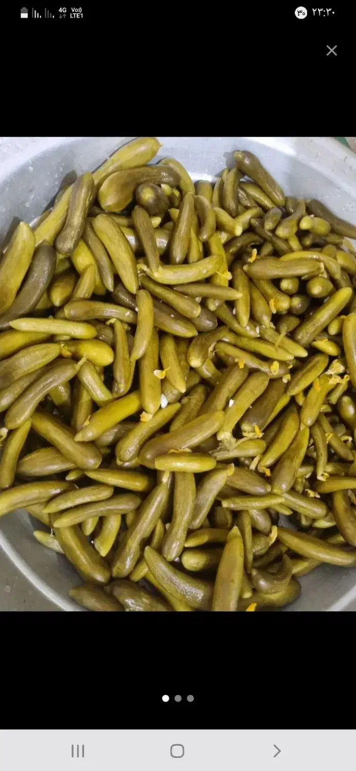 خیار شور|خوردنی و آشامیدنی|قم, سراجه (۱۵ خرداد)|دیوار