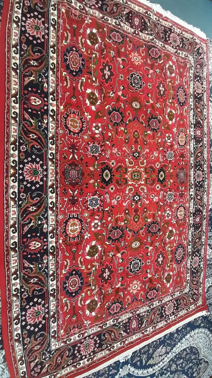 فرش دستباف ۶متری|فرش|ملایر, |دیوار