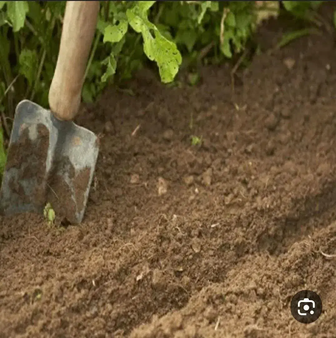 خاک باغچه|خدمات باغبانی و درختکاری|کاشان, فاز ۲ ناجی آباد|دیوار