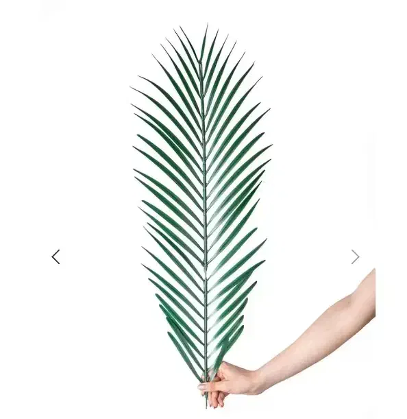 لوازم آنلاین شاپ|صنایع دستی و سایر لوازم تزئینی|زنجان, |دیوار