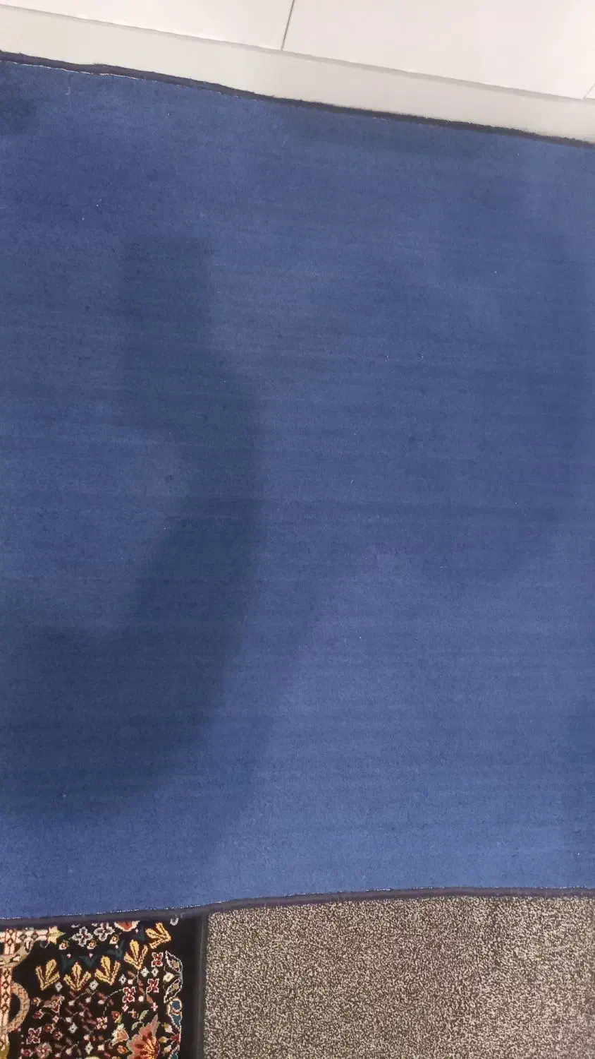 چندتیکه موکت پالاز|موکت|اهواز, پادادشهر|دیوار