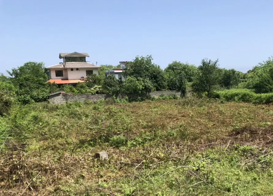 ۹۸۰ متر زمین سند تک برگ بعد از سرولات خ امیری|فروش زمین و ملک کلنگی|چابکسر, |دیوار