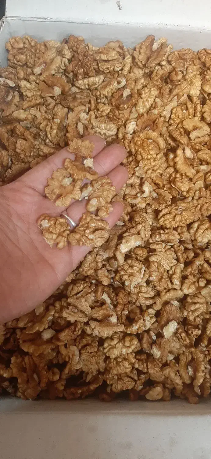 گردوی درجه ۱ ایرانی پوست سفید و روغنی|خوردنی و آشامیدنی|رشت, باهنر|دیوار