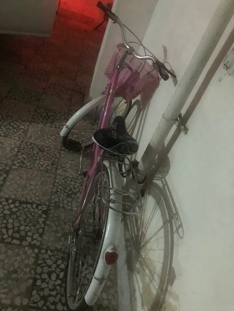 دوچرخه ۲۴|دوچرخه، اسکیت، اسکوتر|رشت, کوی جام جم|دیوار