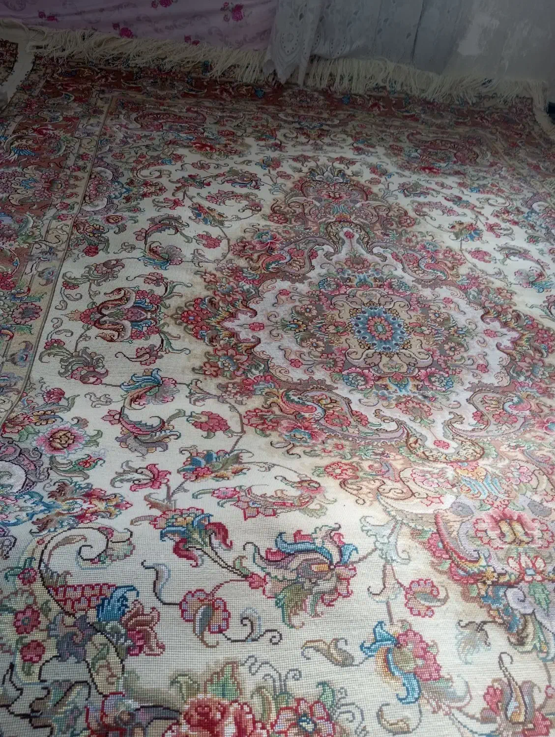 فرش 12متری خطیبی درج35|فرش|اسکو, |دیوار