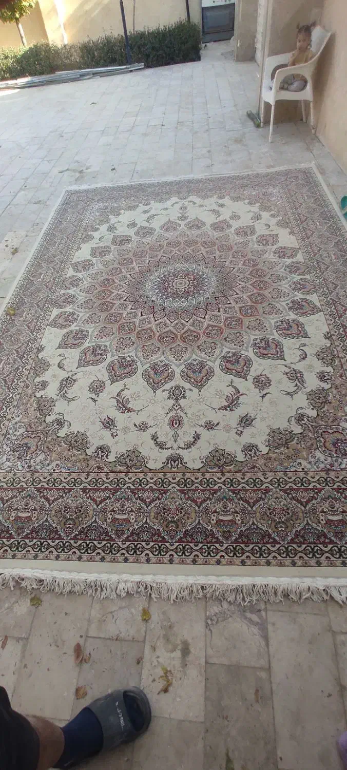 فرش 700 شانه تک|فرش|مشهد, امیریه|دیوار