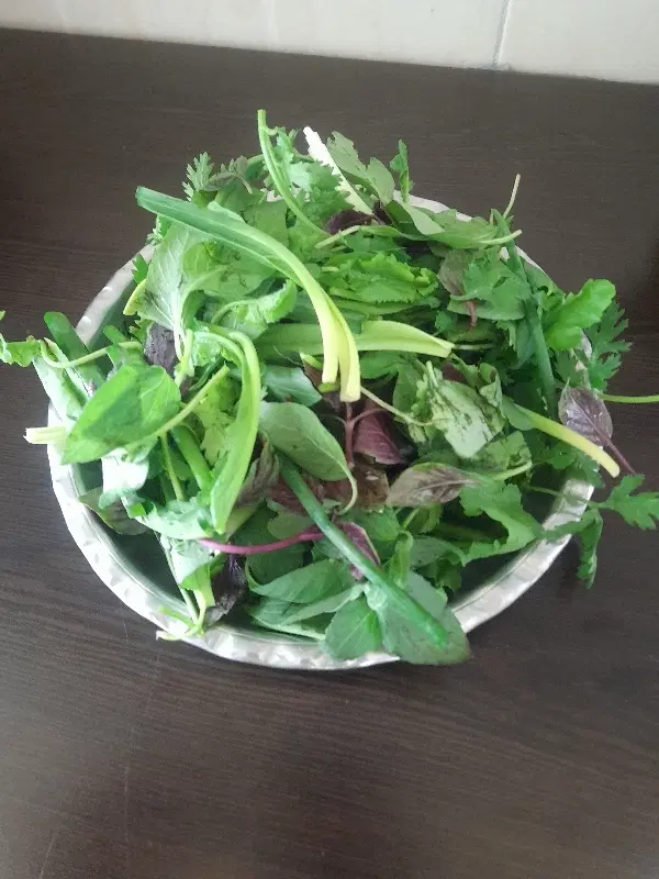 پخش انواع سبزی آماده،خورشتی،آشی،پلویی،خوردن|خوردنی و آشامیدنی|تهران, دانشگاه شریف|دیوار