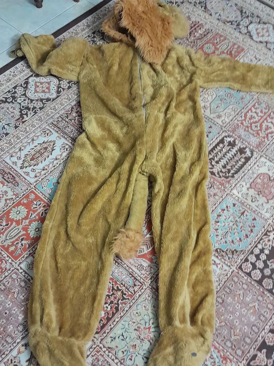 لباس شیر|لباس|اصفهان, گلزار|دیوار