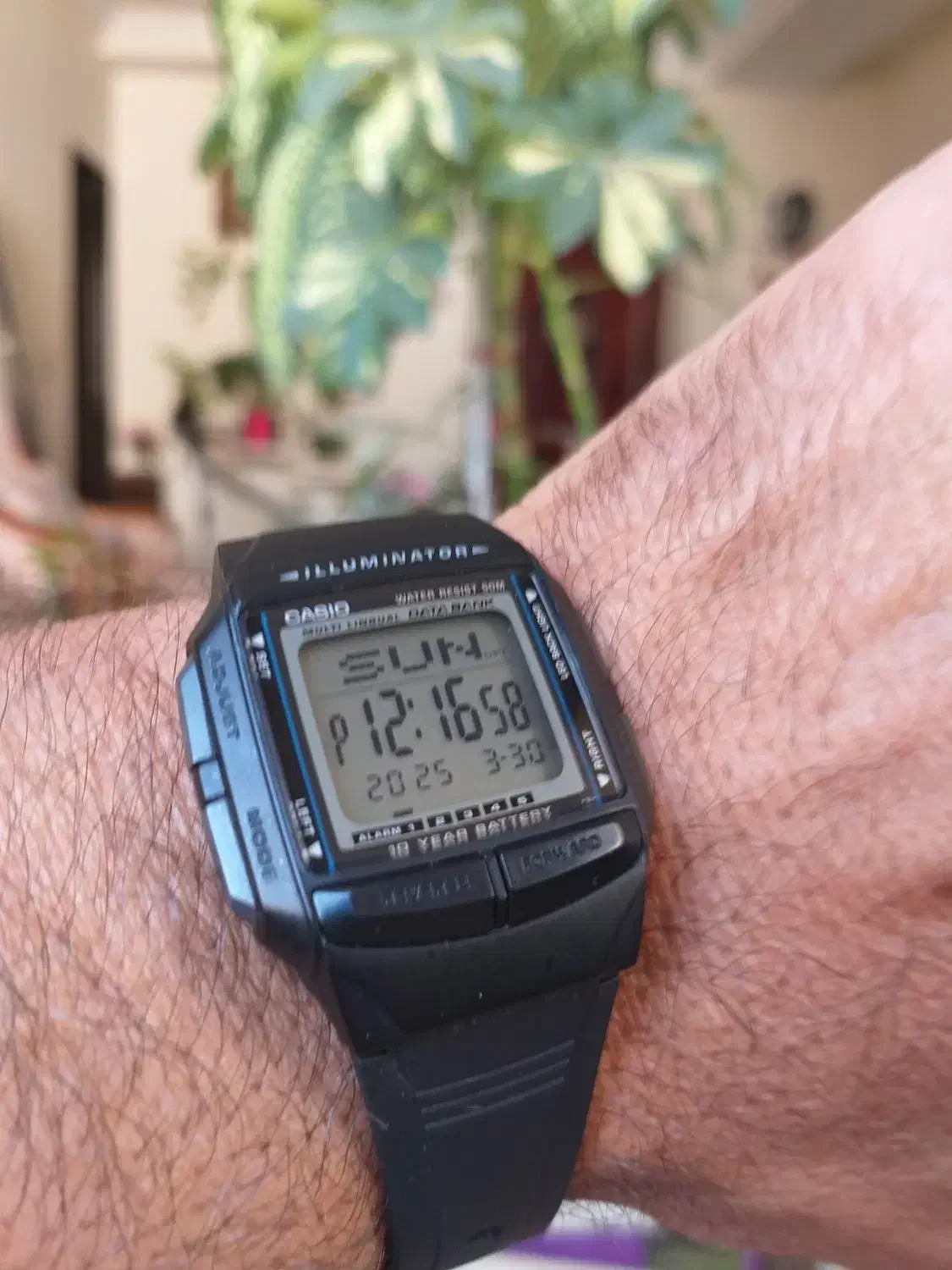 کاسیو ۲۰۲۴  لیمتد|ساعت|صباشهر, |دیوار