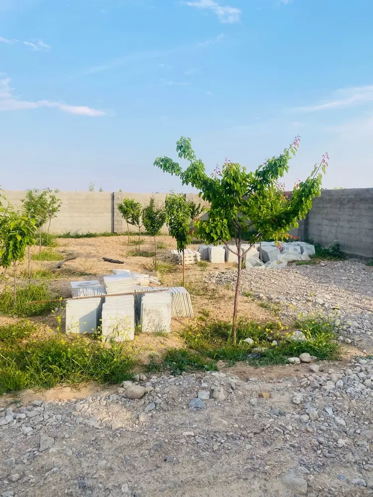 تصویر 7