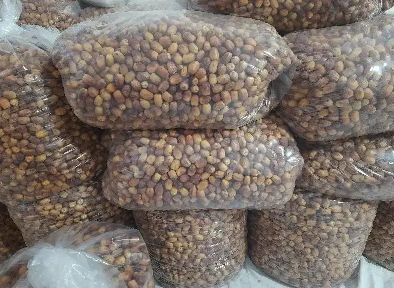 قصب سایز متوسط پاک شده فراشبند طعم و شهد بدون رقیب|خوردنی و آشامیدنی|شیراز, فرهنگیان|دیوار