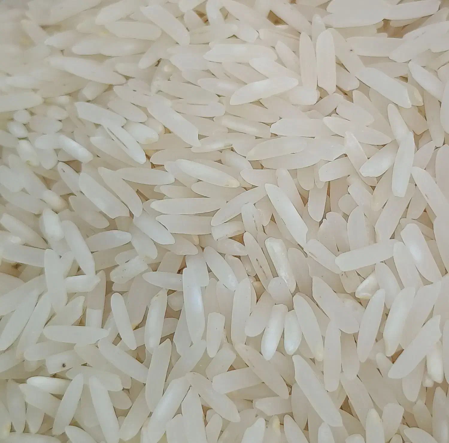 برنج ندا کشاورز|خوردنی و آشامیدنی|گرگان, |دیوار