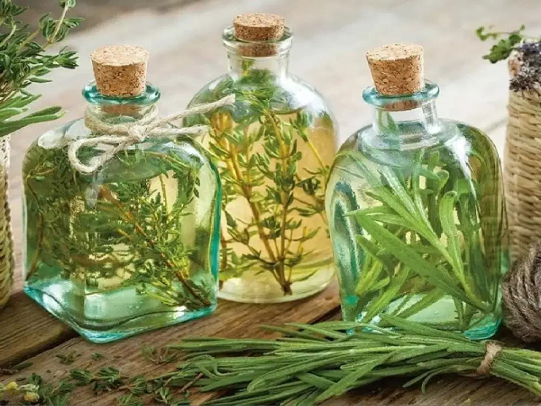 نعنا هل دارچین و ...|خوردنی و آشامیدنی|اصفهان, زاجان|دیوار