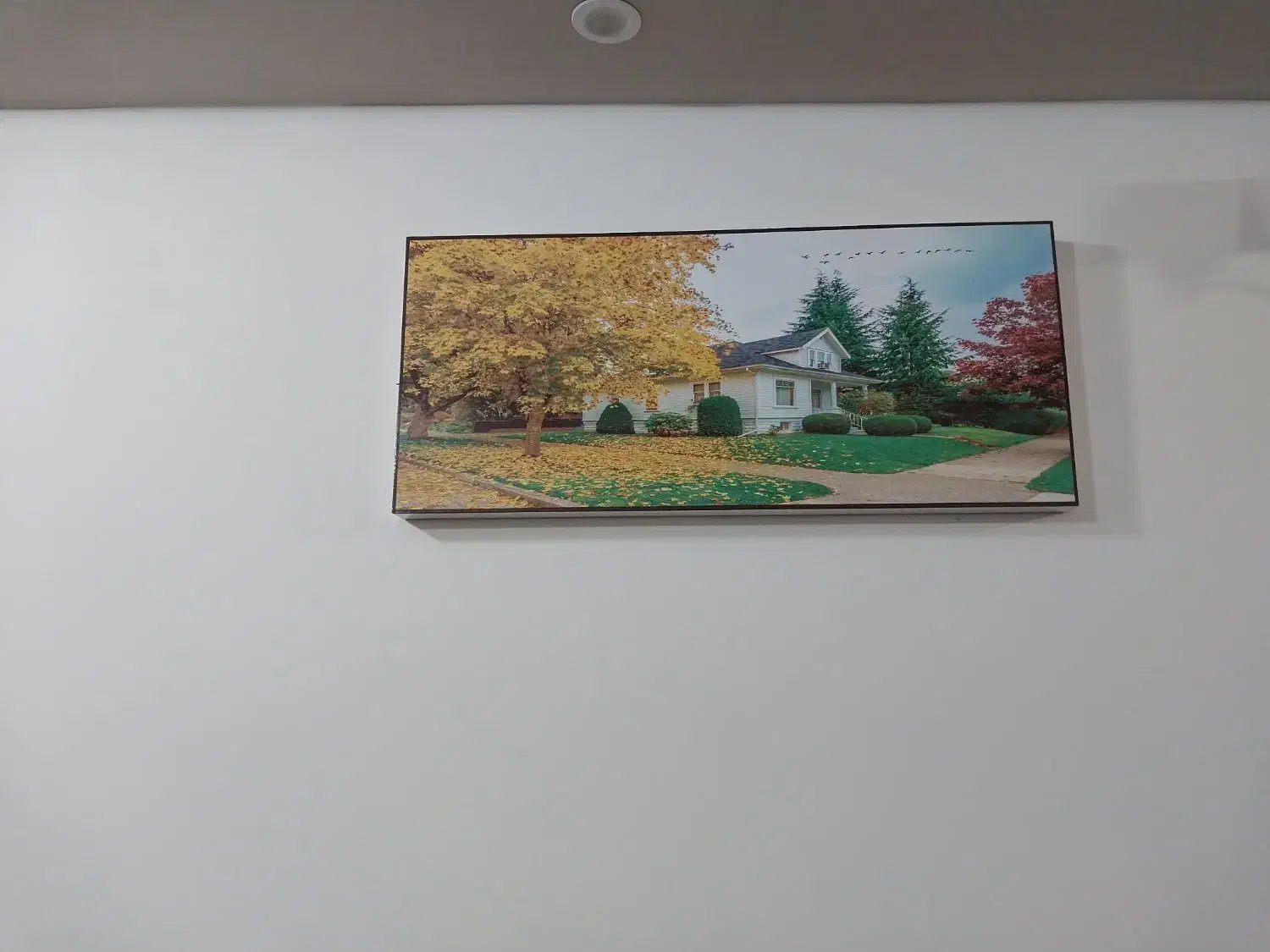 تابلو|تابلو، نقاشی، عکس|فردوس (خراسان), |دیوار