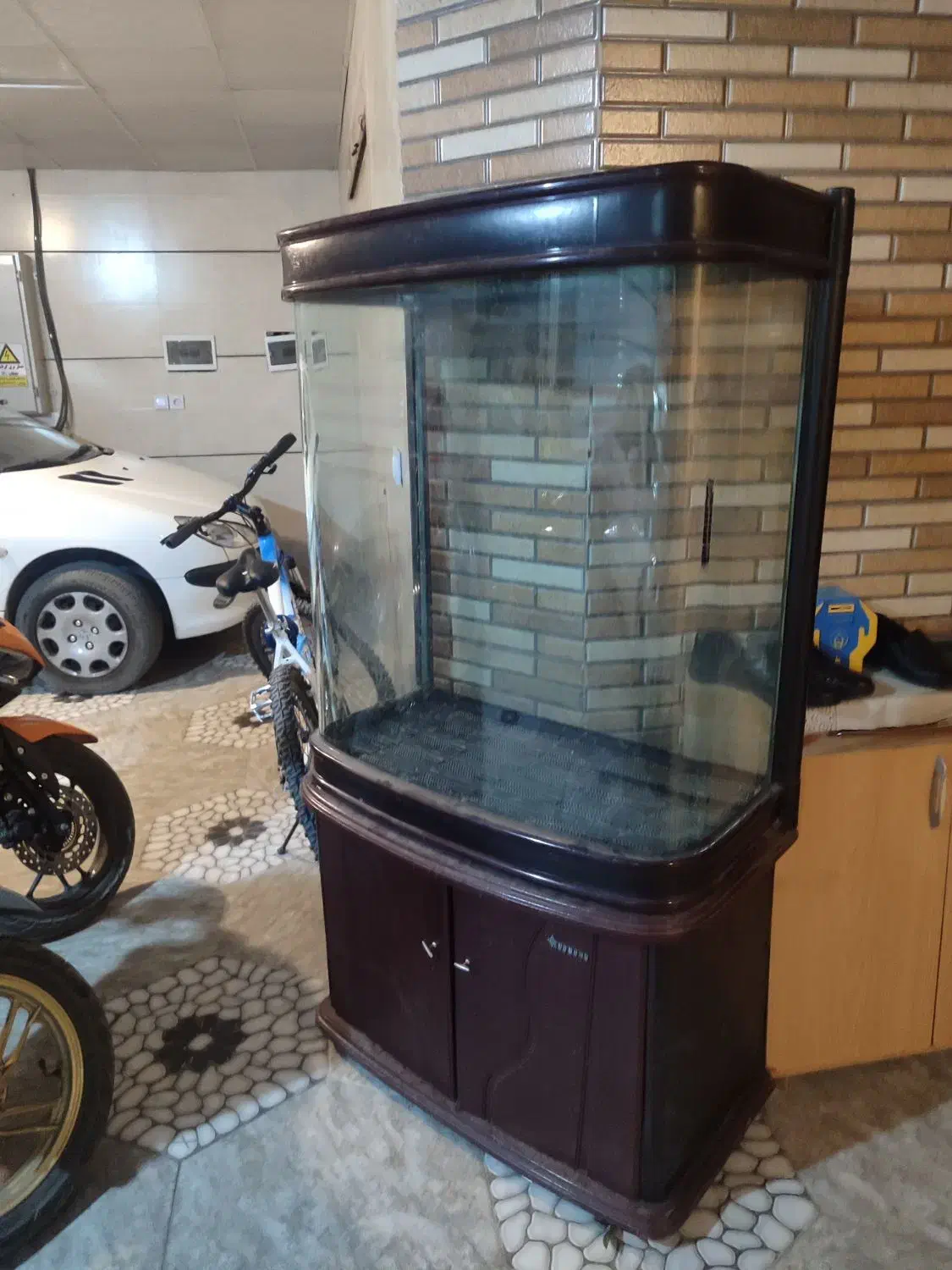 اکواریوم|ماهی|شیروان (خراسان), |دیوار