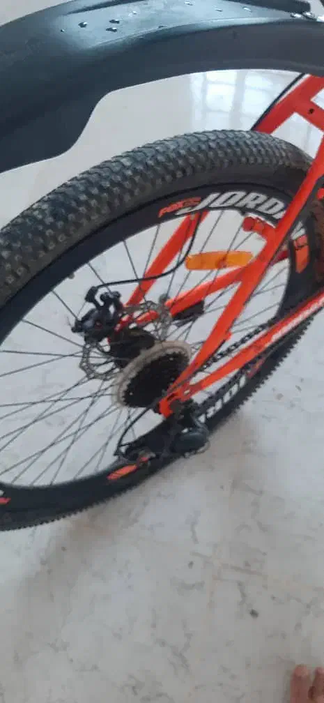 دوچرخه|دوچرخه، اسکیت، اسکوتر|باوی, |دیوار