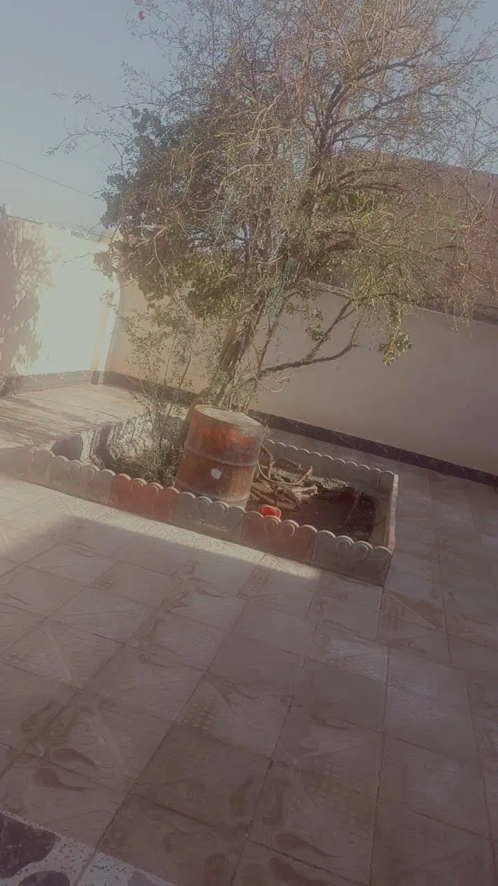 تصویر 2