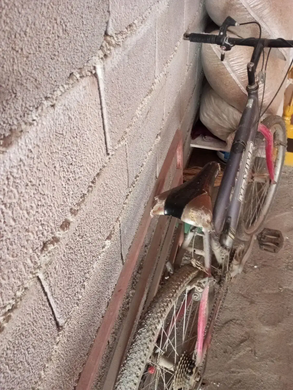 دوچرخه۲۴|دوچرخه، اسکیت، اسکوتر|مریوان, |دیوار