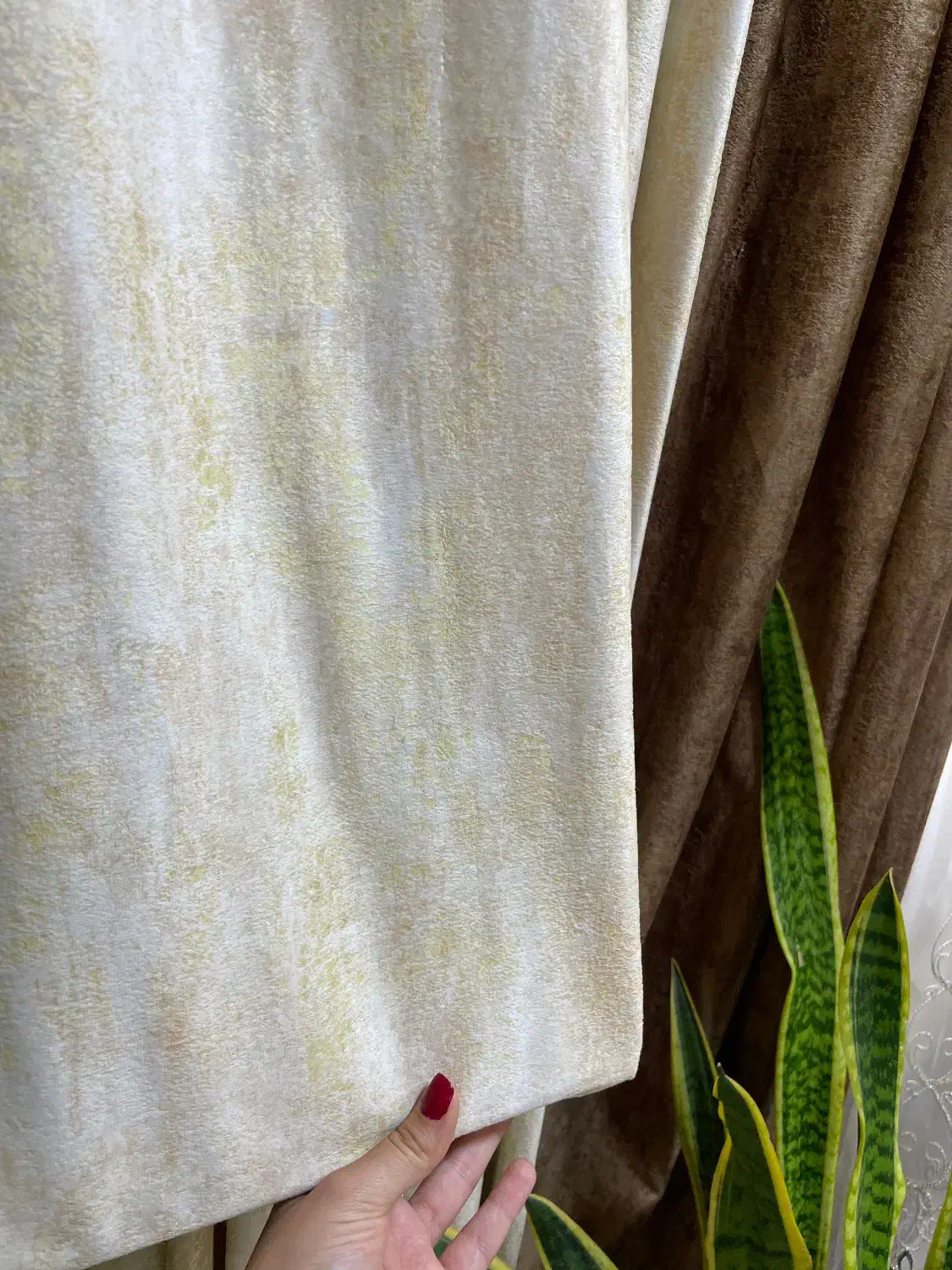 پرده پذیرایی|پرده، رانر، رومیزی|گناباد, |دیوار