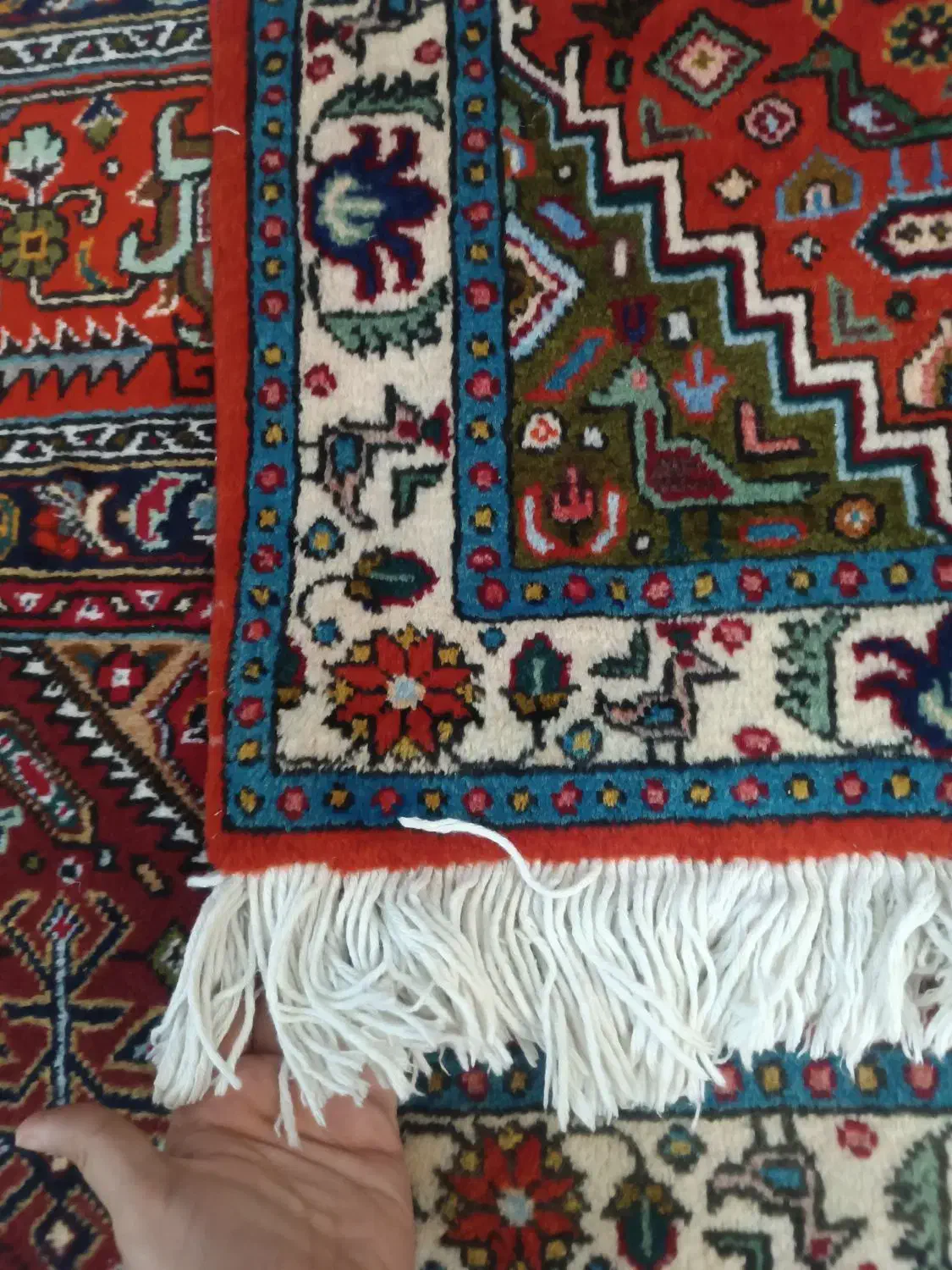 فرش|پشتی|تبریز, |دیوار