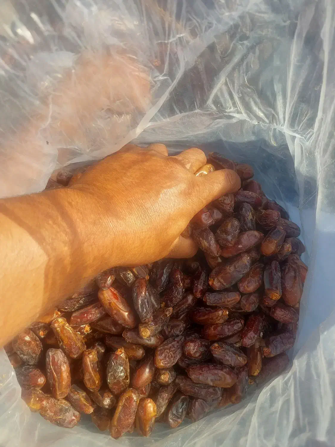 خرما|خوردنی و آشامیدنی|مشهد, کارمندان دوم|دیوار